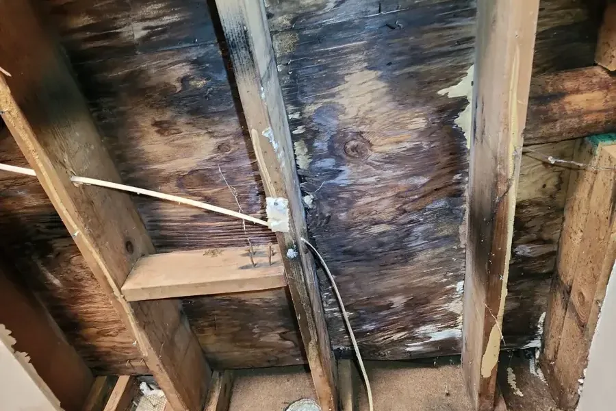 Water stains and rot on attic roof decking under a leaking roof